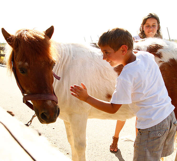 Kinder streicheln Pony