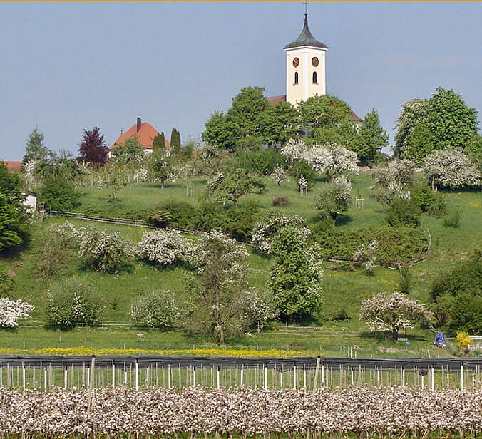 Bioptop in Ailingen