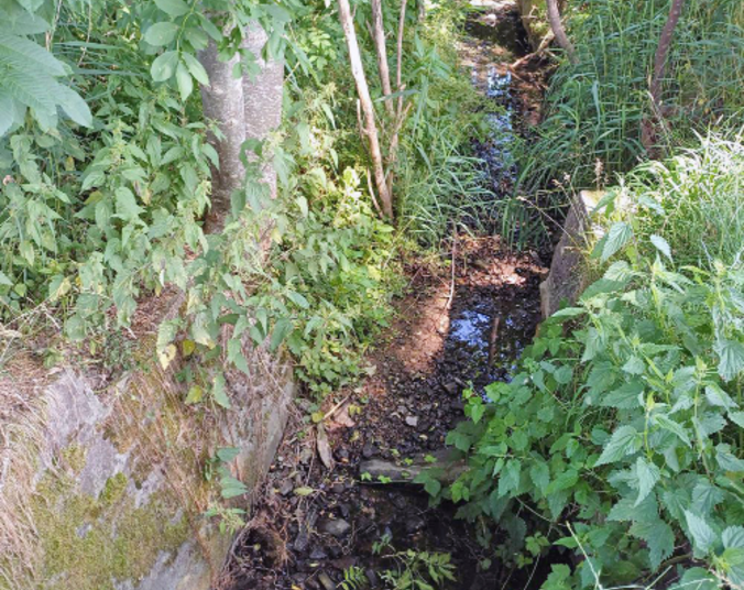Rohrbach (Foto: Stadt Friedrichshafen)