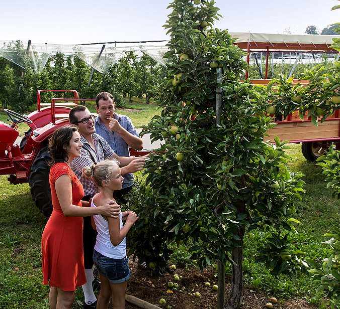 Familie in Apfelplantage in Ailingen