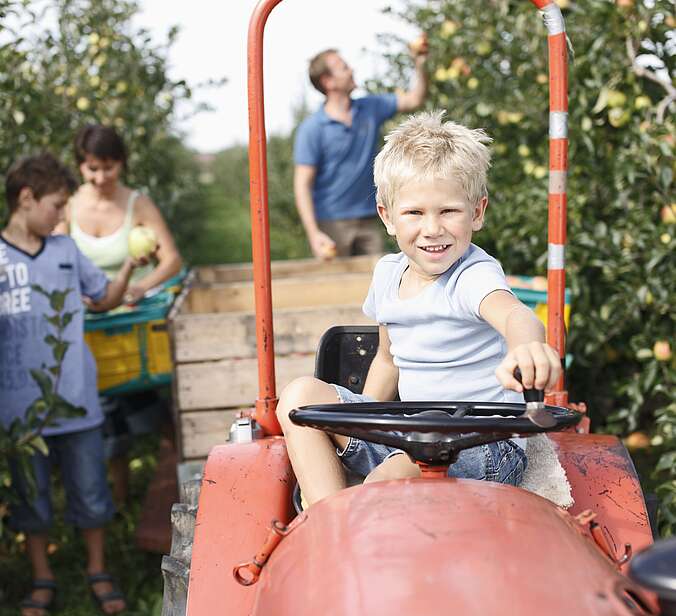 Kind sitzt am Lenkrad eines Traktors in einer Apfelplantage