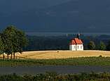 Haldenberg