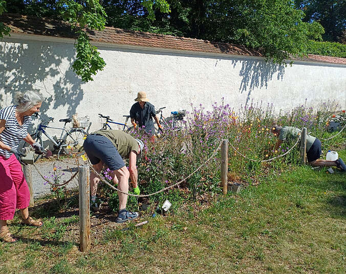 Männer und Frauen pflegen Blumen im Beet