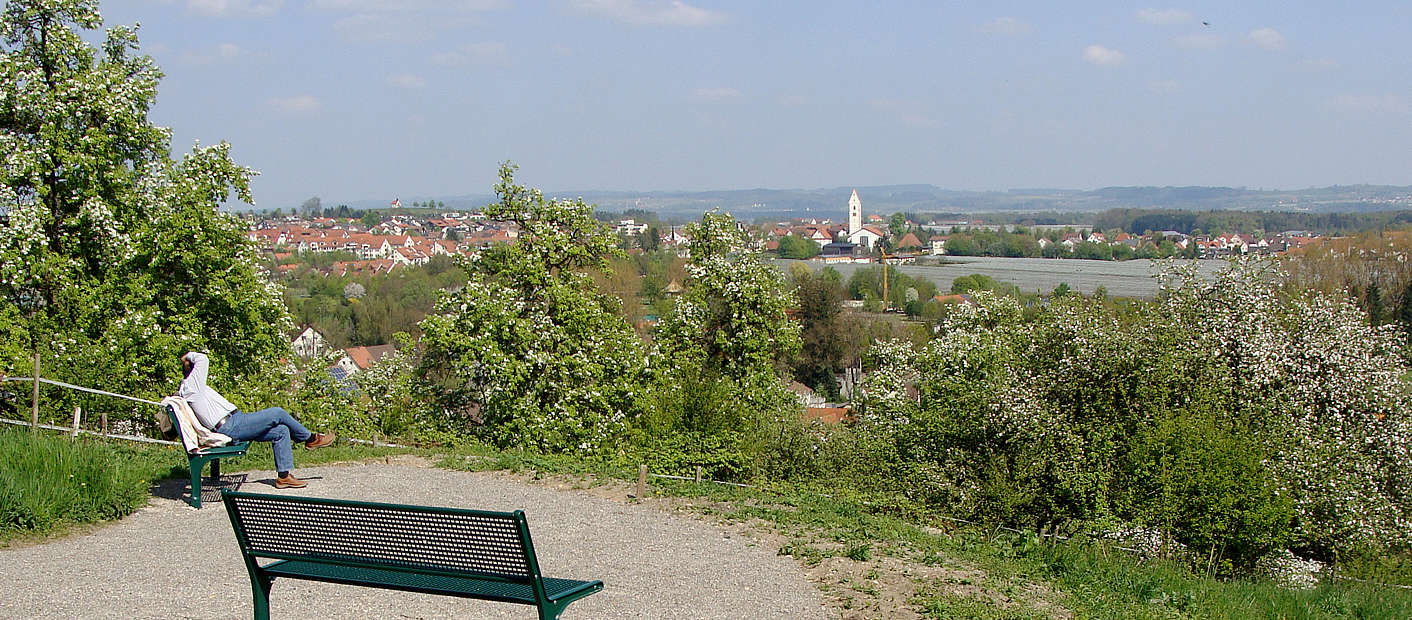Panorama Wiese Berg