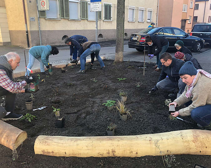 Frauen und Männer pflanzen kleine Stauden in die Erde. Das Beet ist mit Baumstämmen eingegrenzt.
