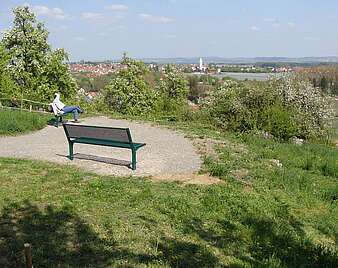 Panoramawiese in Berg
