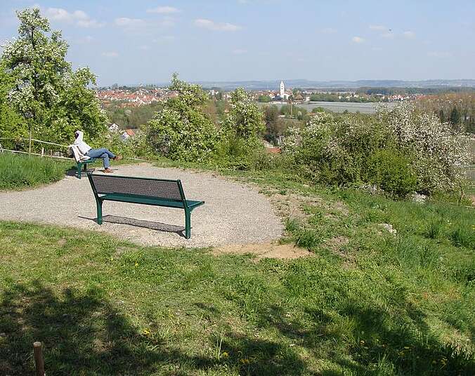 Panorama Wiese Berg