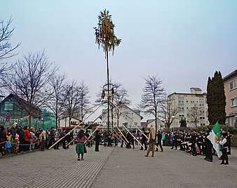 narrenbaumstellen