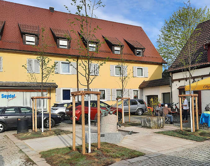 Vier neue Bäume auf dem Platz Am Anger