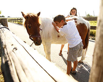 Kinder streicheln Pony